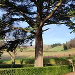Casa Relax In Campagna Rufina *